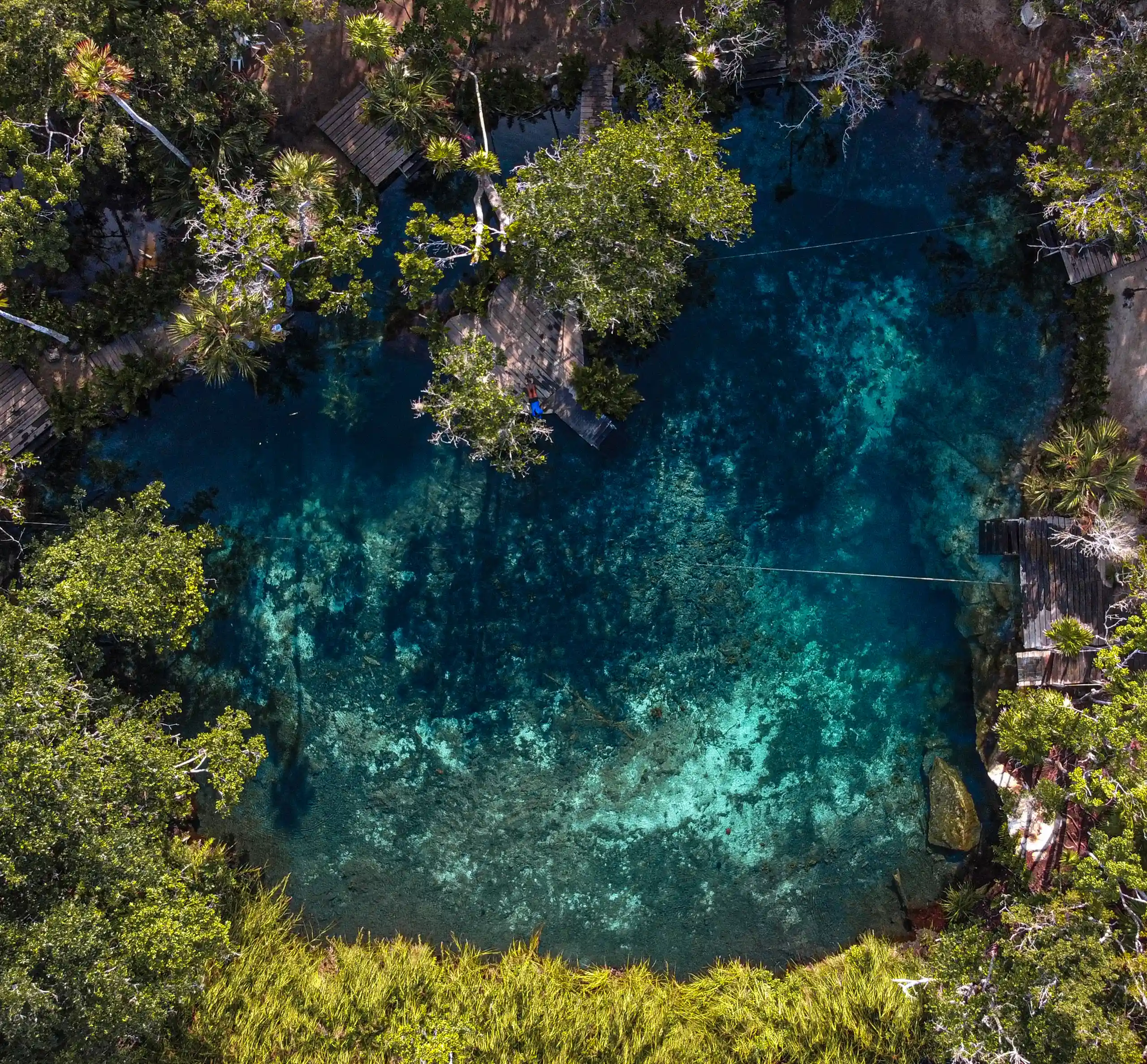Cenotes of Tulum